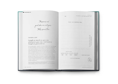 Resilient ME Gratitude Journal (17+)
