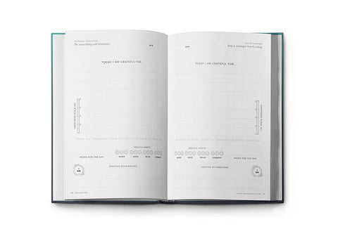 Resilient ME Gratitude Journal (17+)