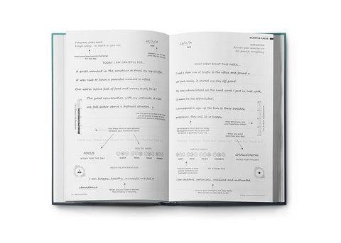 Resilient ME Gratitude Journal (17+)